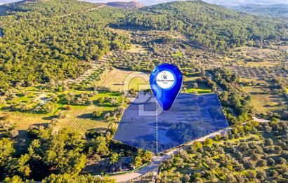 URLA ÖZBEK MAH. TOPLAM 13.341 M2 SATILIK 2 AYRI PARSEL