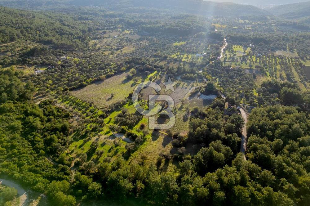 URLA ÖZBEK MAH. TOPLAM 13.341 M2 SATILIK 2 AYRI PARSEL