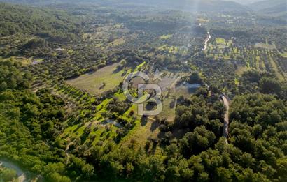 URLA ÖZBEK MAH. TOPLAM 13.341 M2 SATILIK 2 AYRI PARSEL