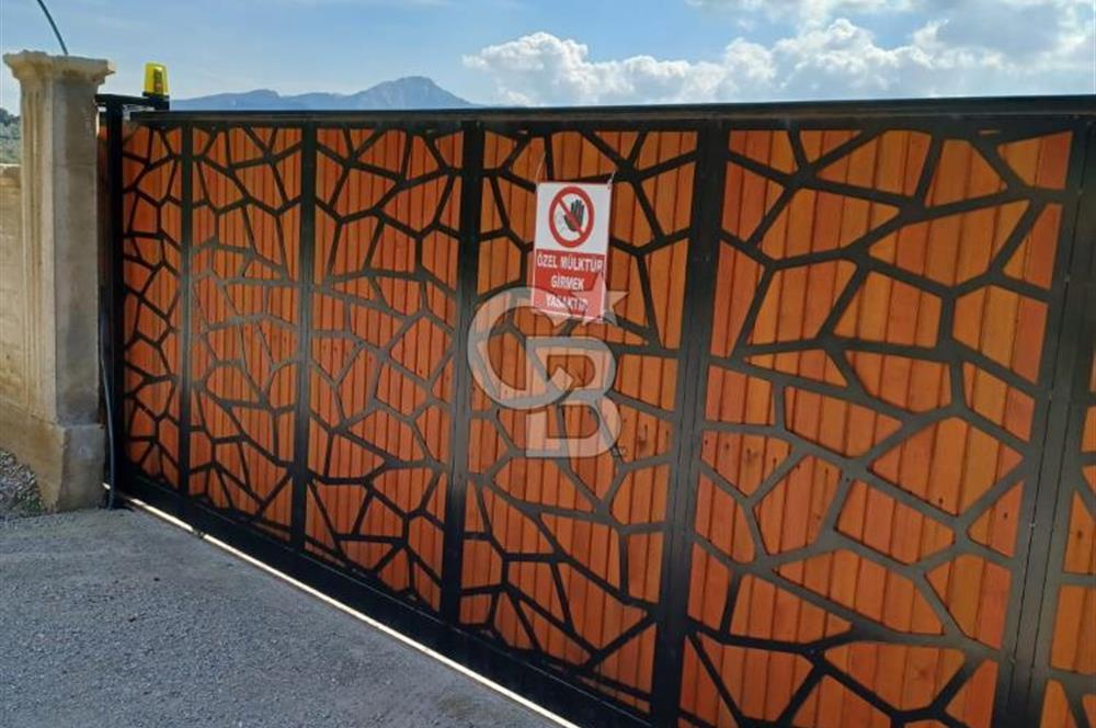 TORBALI DAĞKIZILCA'DA KAÇIRILMAZ YATIRIMLIK ZEYTİNLİK TARLA