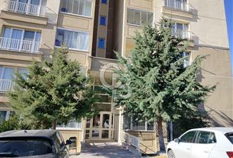 Atayurt Mahallesi Toki 4.Etap 3+1 Satılık Daire - 5 - 315912