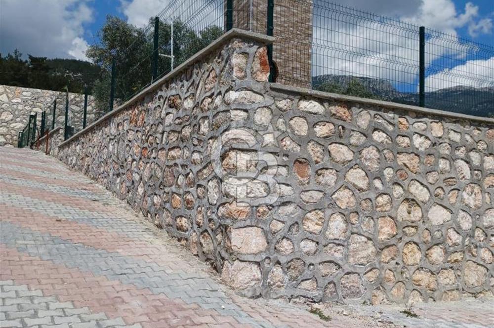 TORBALI DAĞKIZILCA'DA KAÇIRILMAZ YATIRIMLIK ZEYTİNLİK TARLA