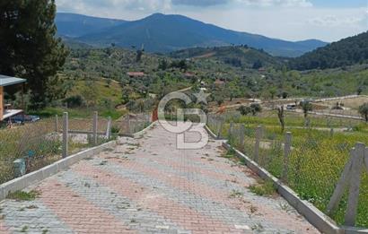 TORBALI DAĞKIZILCA'DA KAÇIRILMAZ YATIRIMLIK ZEYTİNLİK TARLA