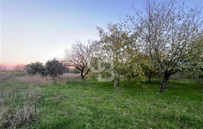 KEMALPAŞA ARMUTLU'DA YOLU OLAN TEK TAPU TARLA