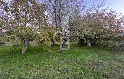 KEMALPAŞA ARMUTLU'DA YOLU OLAN TEK TAPU TARLA