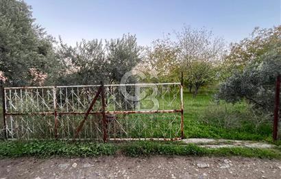 KEMALPAŞA ARMUTLU'DA YOLU OLAN TEK TAPU TARLA