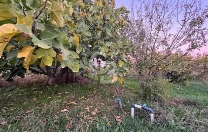 KEMALPAŞA ARMUTLU'DA YOLU OLAN TEK TAPU TARLA