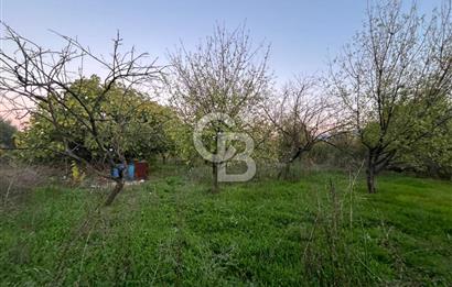 KEMALPAŞA ARMUTLU'DA YOLU OLAN TEK TAPU TARLA