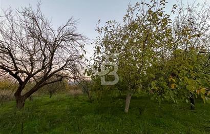 KEMALPAŞA ARMUTLU'DA YOLU OLAN TEK TAPU TARLA