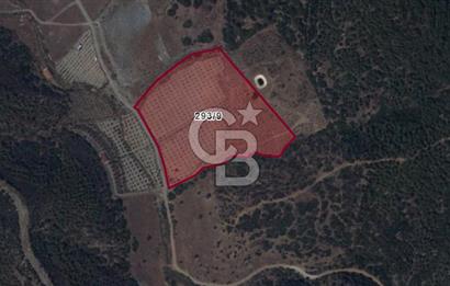 İZMİR SEFERİHİSAR ORHANLI SATILIK  MÜSTAKİL TAPULU TARLA