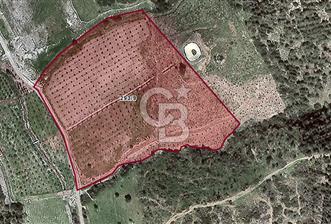 İZMİR SEFERİHİSAR ORHANLI SATILIK  MÜSTAKİL TAPULU TARLA - 6 - 315895