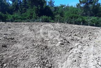 BUCA BELENBAŞIN'DA SATILIK TARLA 1.144 m2 - 1 - 315903