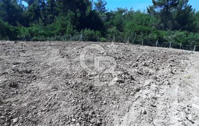 BUCA BELENBAŞIN'DA SATILIK TARLA 1.144 m2