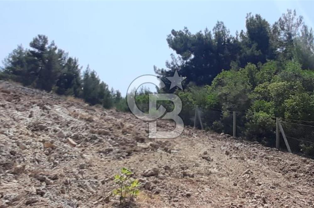 BUCA BELENBAŞIN'DA SATILIK TARLA 1.144 m2