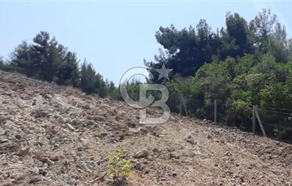 BUCA BELENBAŞIN'DA SATILIK TARLA 1.144 m2