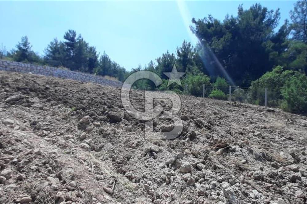 BUCA BELENBAŞIN'DA SATILIK TARLA 1.144 m2