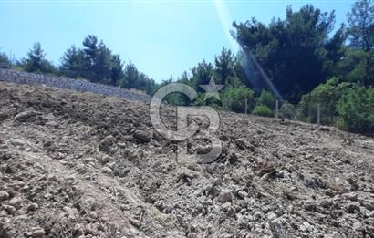 BUCA BELENBAŞIN'DA SATILIK TARLA 1.144 m2