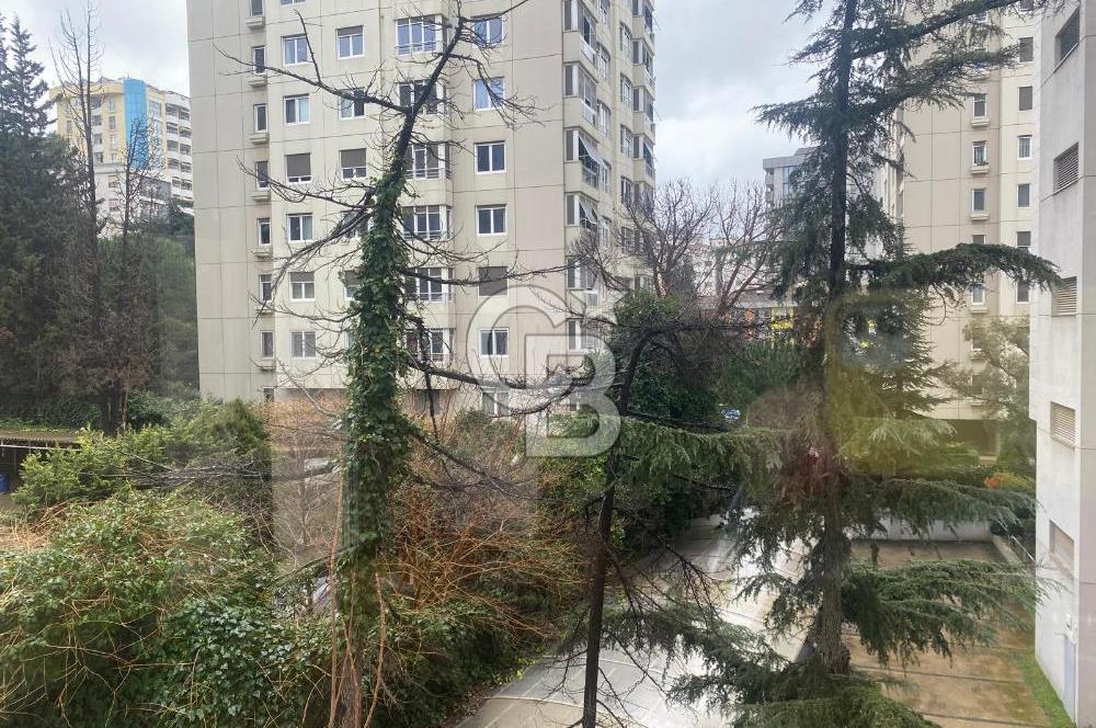 Erenköy Divan Sokağında Caddeye 5. Bina Kiralık Daire