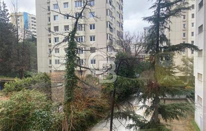 Erenköy Divan Sokağında Caddeye 5. Bina Kiralık Daire