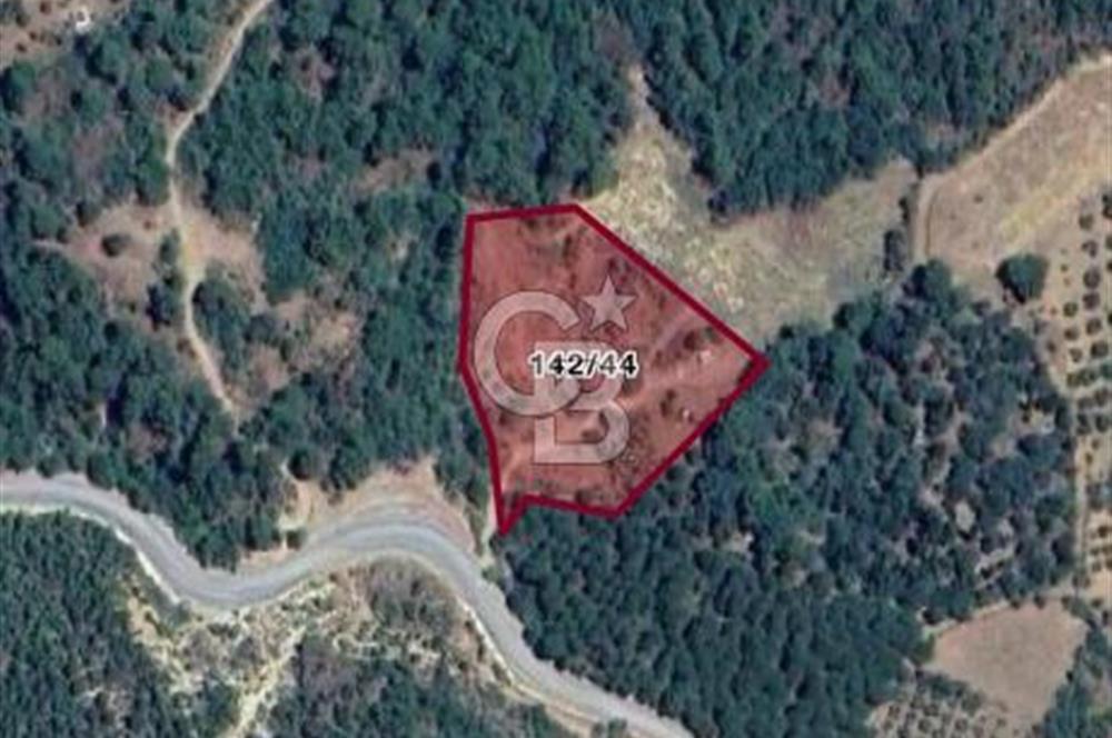 HAVRAN KOCADAĞDA EMSALSİZ TARLA