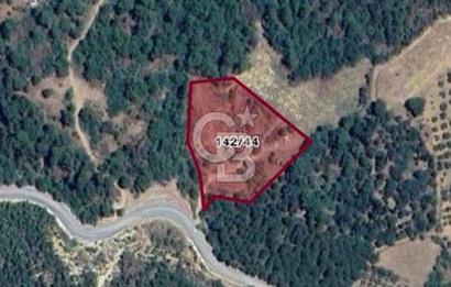 HAVRAN KOCADAĞDA EMSALSİZ TARLA