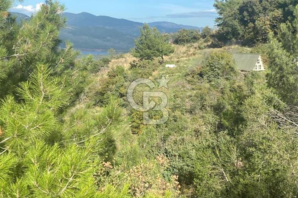 HAVRAN KOCADAĞDA EMSALSİZ TARLA