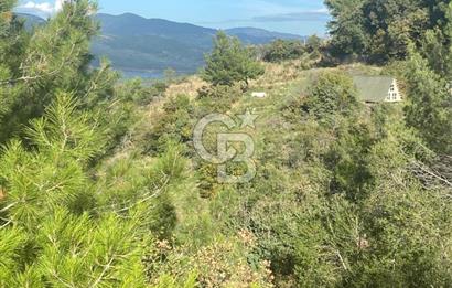 HAVRAN KOCADAĞDA EMSALSİZ TARLA