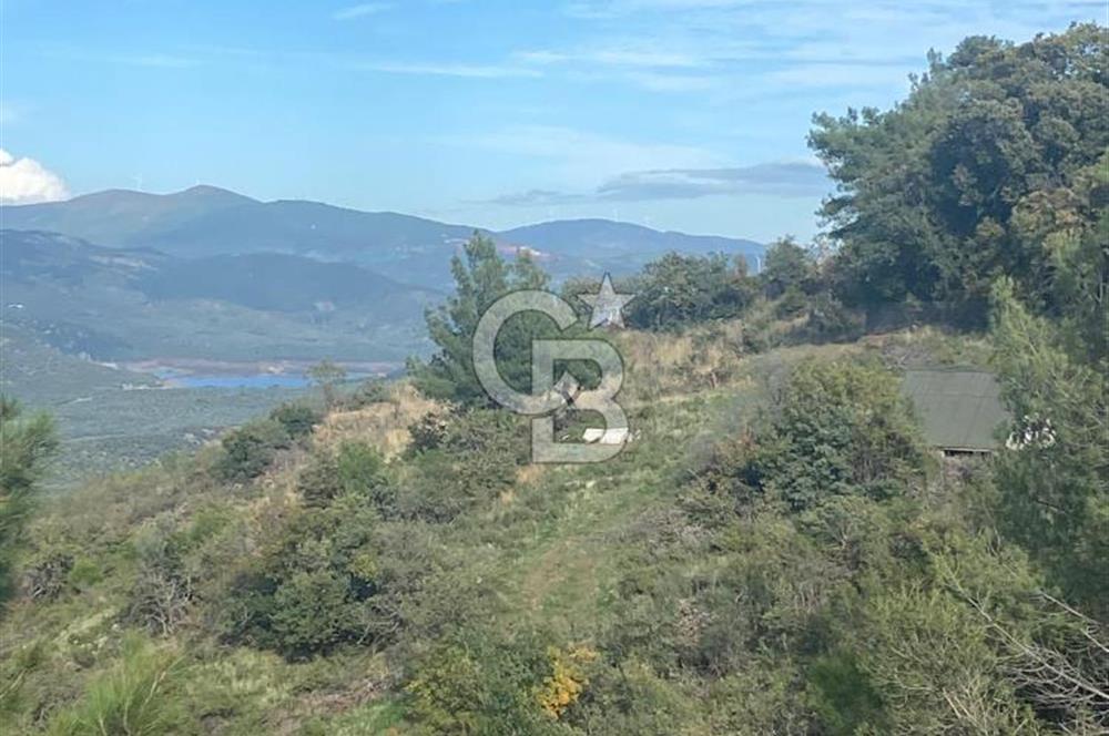 HAVRAN KOCADAĞDA EMSALSİZ TARLA