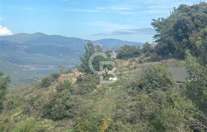 HAVRAN KOCADAĞDA EMSALSİZ TARLA