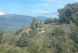 HAVRAN KOCADAĞDA EMSALSİZ TARLA - 1 - 315899