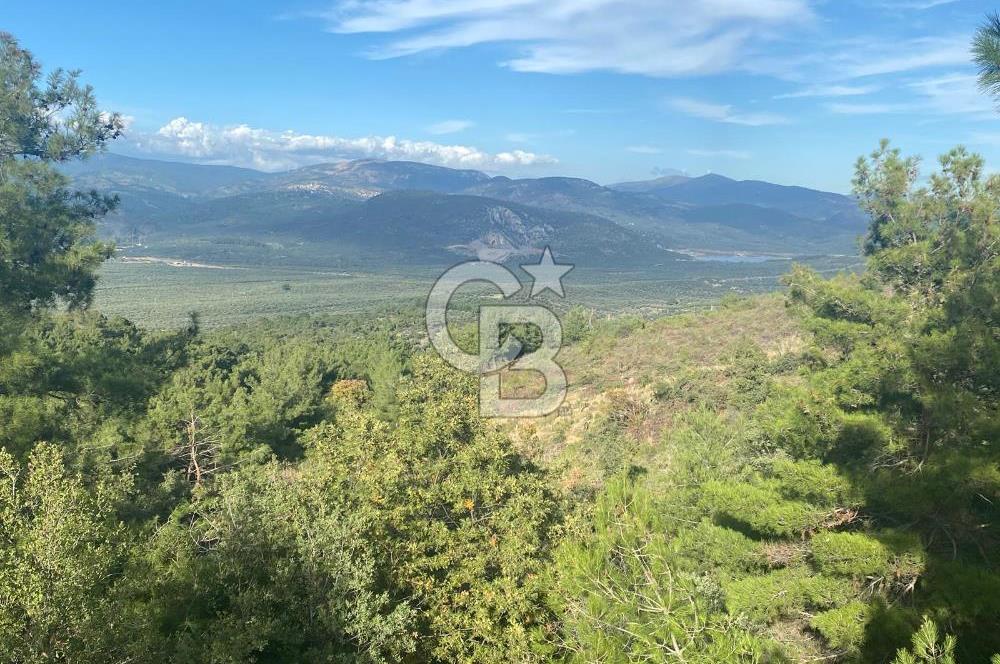 HAVRAN KOCADAĞDA EMSALSİZ TARLA