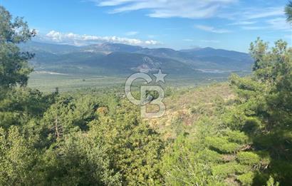 HAVRAN KOCADAĞDA EMSALSİZ TARLA