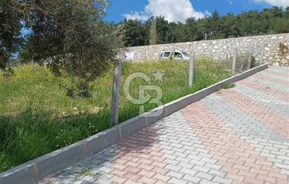 TORBALI DAĞKIZILCA'DA KAÇIRILMAZ YATIRIMLIK ZEYTİNLİK TARLA