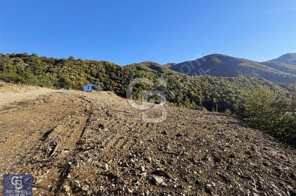 CB ENVOY'dan Gölcük Ulaşlı'da 482m2 İmarlı Arsa