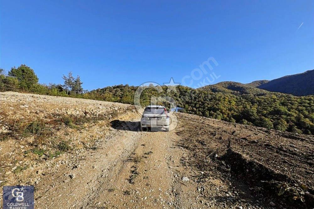 CB ENVOY'dan Gölcük Ulaşlı'da 482m2 İmarlı Arsa