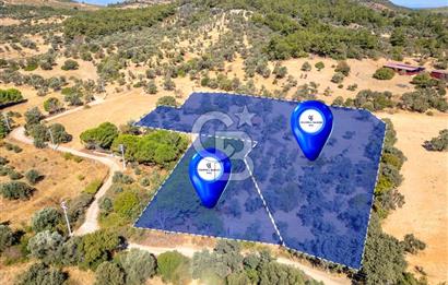 GÜZELBAHÇE YELKİ MAH. SATILIK 10.838 M2 ARAZİ