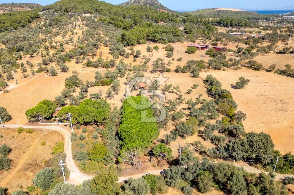 GÜZELBAHÇE YELKİ MAH. SATILIK 10.838 M2 ARAZİ