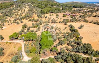 GÜZELBAHÇE YELKİ MAH. SATILIK 10.838 M2 ARAZİ