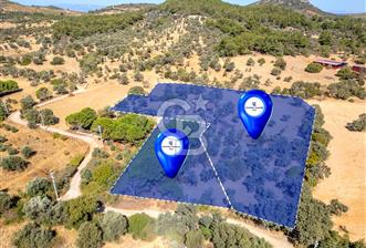 GÜZELBAHÇE YELKİ MAH. SATILIK 10.838 M2 ARAZİ - 2 - 315911