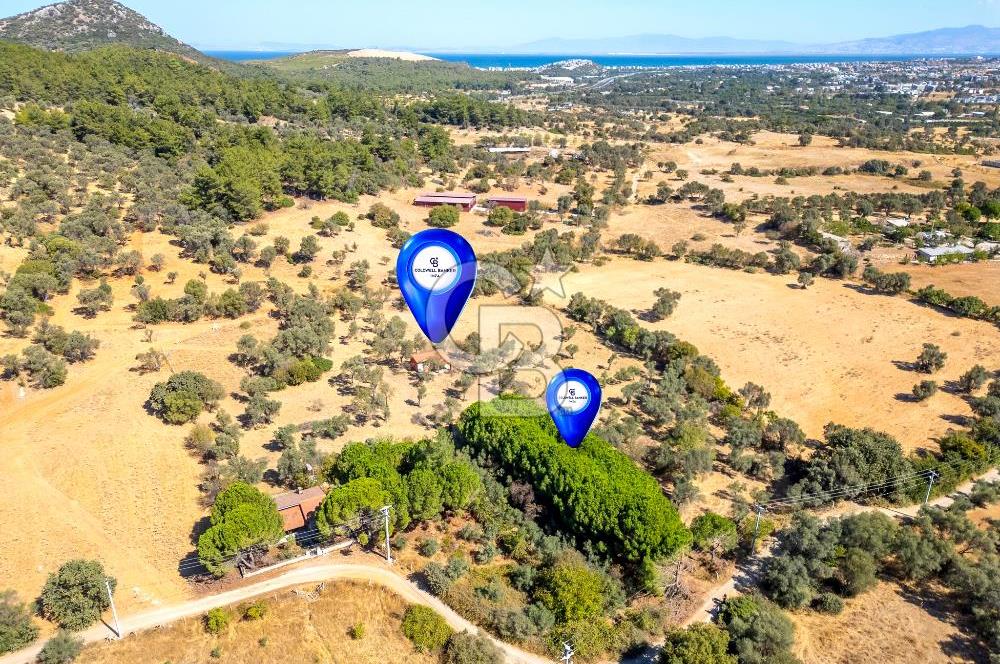 GÜZELBAHÇE YELKİ MAH. SATILIK 10.838 M2 ARAZİ