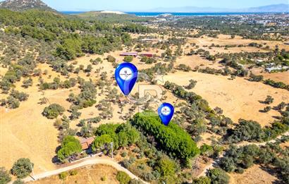 GÜZELBAHÇE YELKİ MAH. SATILIK 10.838 M2 ARAZİ