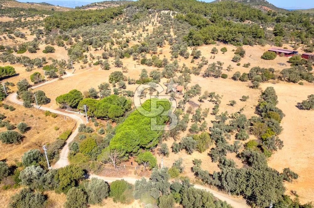 GÜZELBAHÇE YELKİ MAH. SATILIK 10.838 M2 ARAZİ