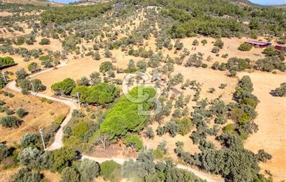 GÜZELBAHÇE YELKİ MAH. SATILIK 10.838 M2 ARAZİ