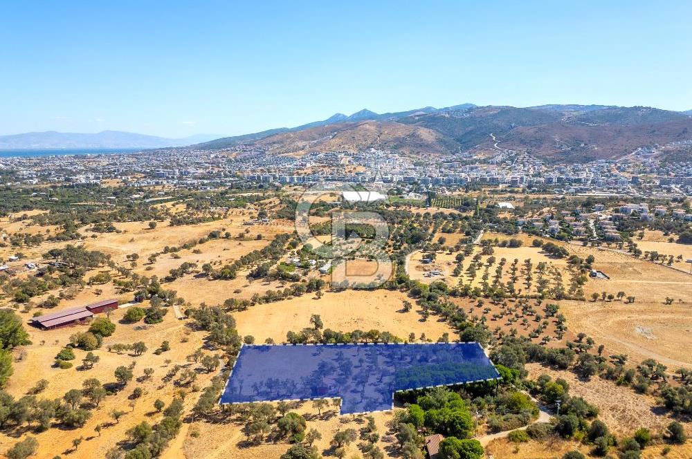 GÜZELBAHÇE YELKİ MAH. SATILIK 10.838 M2 ARAZİ