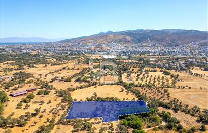 GÜZELBAHÇE YELKİ MAH. SATILIK 10.838 M2 ARAZİ