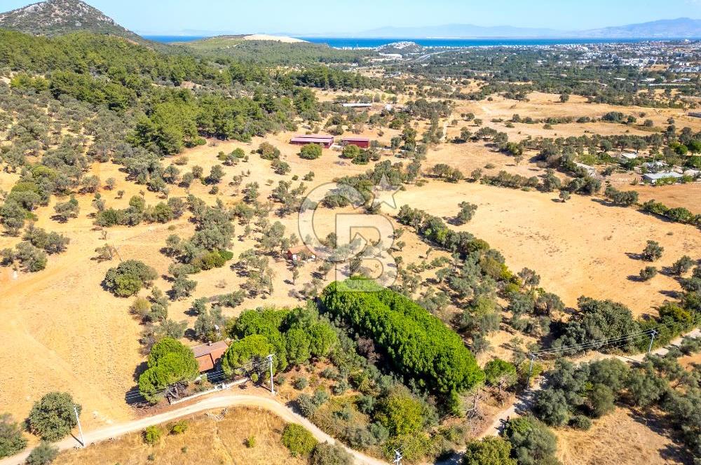 GÜZELBAHÇE YELKİ MAH. SATILIK 10.838 M2 ARAZİ