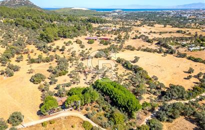 GÜZELBAHÇE YELKİ MAH. SATILIK 10.838 M2 ARAZİ