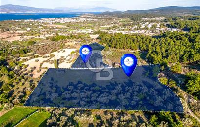 URLA İÇMELER SATILIK DENİZ MANZARALI 38.747 M2 2 PARSEL