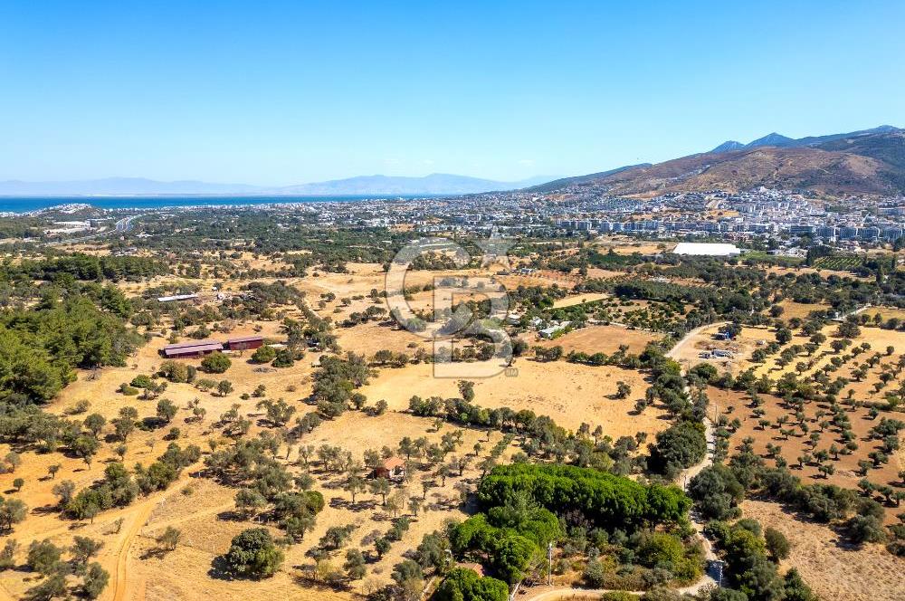 GÜZELBAHÇE YELKİ MAH. SATILIK 10.838 M2 ARAZİ