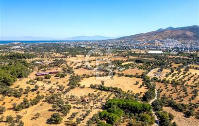 GÜZELBAHÇE YELKİ MAH. SATILIK 10.838 M2 ARAZİ